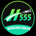H555 Game