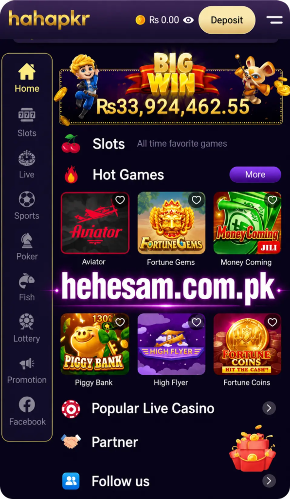 HE786 Game