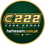 C222 Game